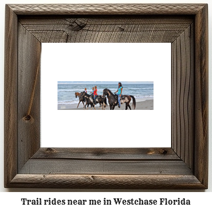 trail rides near me in Westchase, Florida